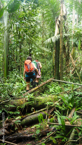 woman walking trough the amazon rainforest