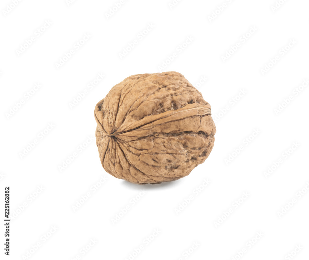 nut in the peel on a white background nut in the peel on a white background