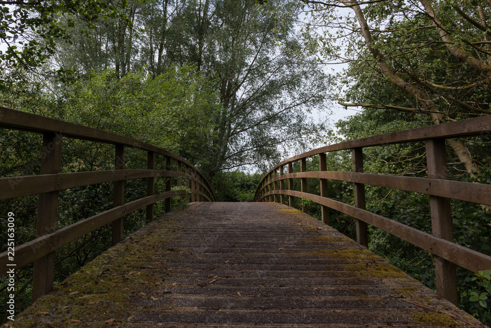 Wooden bridge leading to a forest