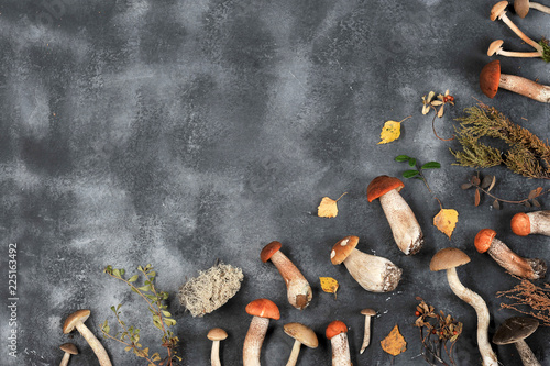 autumn background of mushrooms