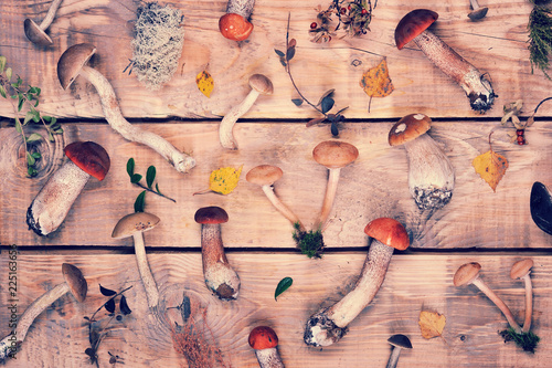 mushrooms on a wooden rustic background