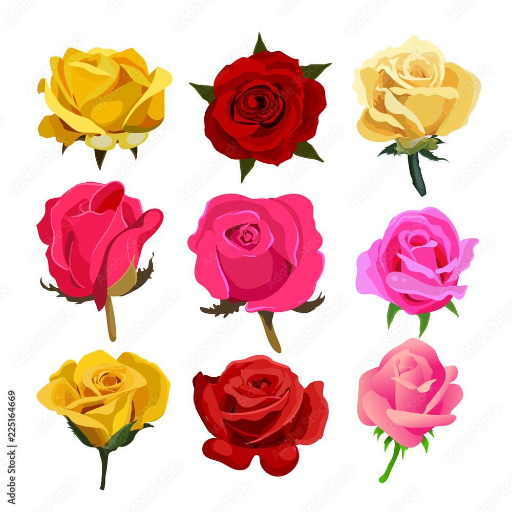 rose vector collection design rose vector collection design