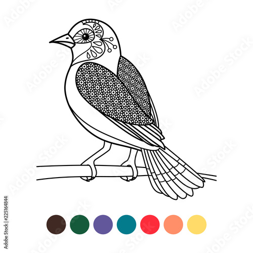 Antistress coloring with zentangle bird isolated on white background, vector illustration