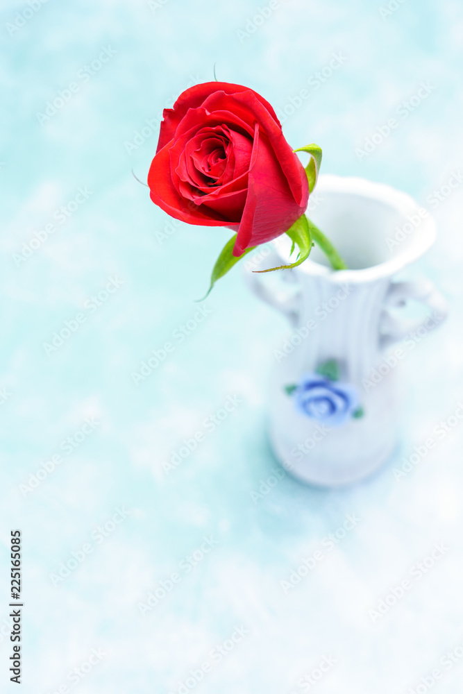 一輪の薔薇 一輪の薔薇