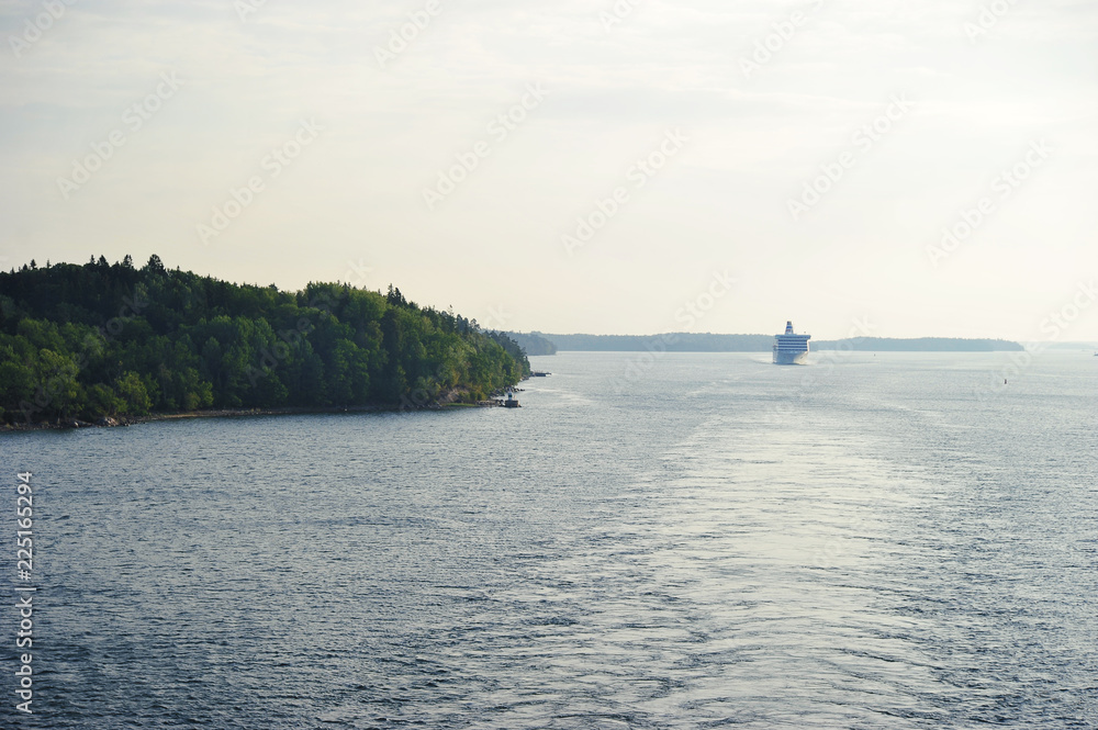 cruise ship sails near the coast in Sweden