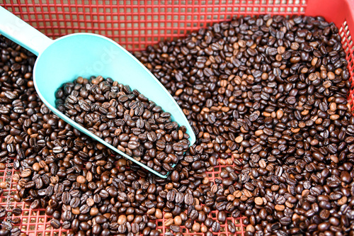 Coffee beans in green spoon,Processed coffee selection. © sarawutnirothon