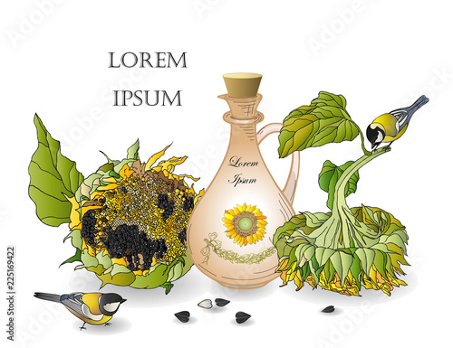 Sunflowers, sunflower seeds, porcelain bottle with vegetable oil and Tits on white background.Can be used to advertise vegetable oil and food for vegetarians.