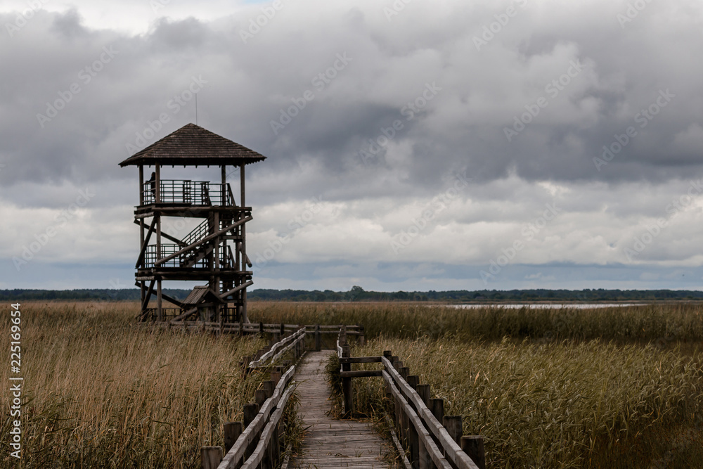 Latvia Liepaja. Wooden bird tower and taxka created on the lake