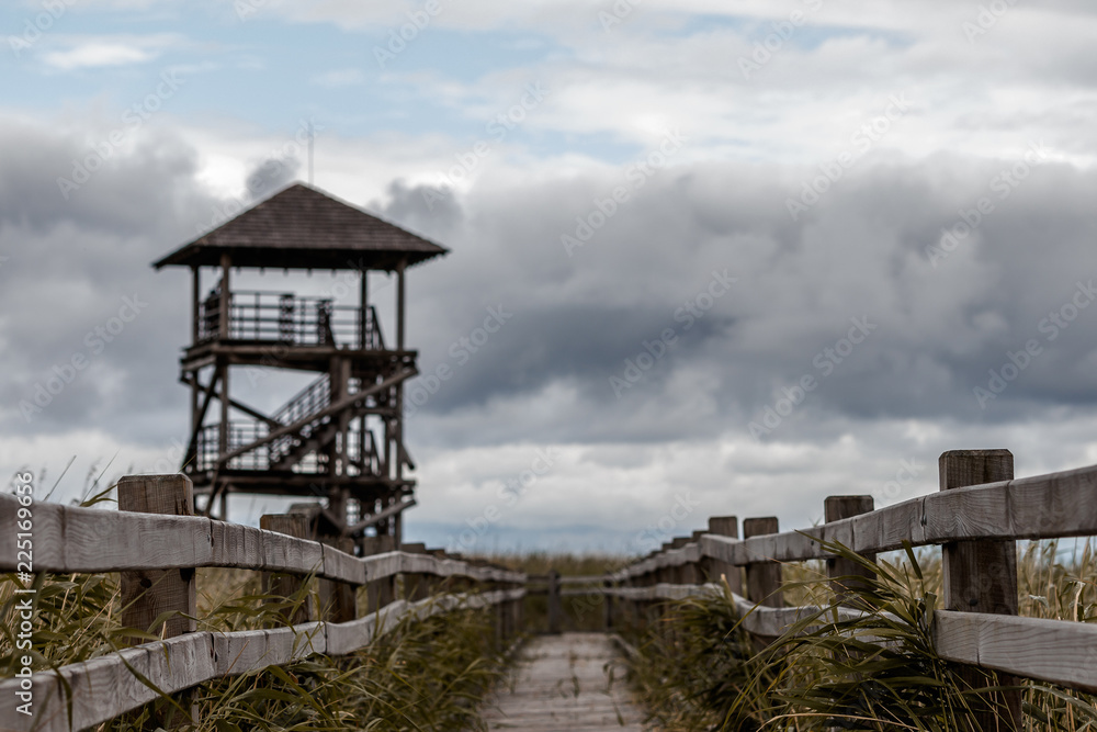 Latvia Liepaja. Wooden bird tower and taxka created on the lake