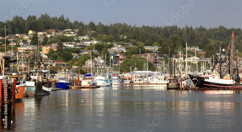 The port of Newport, Oregon photo