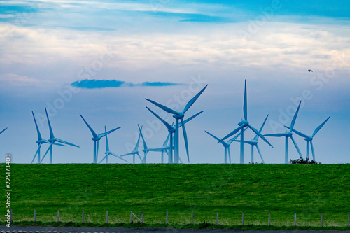 wind turbines in field © Markus