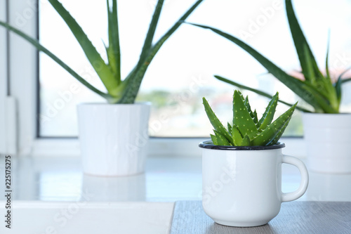 Potted aloe vera in mug and space for text on blurred background