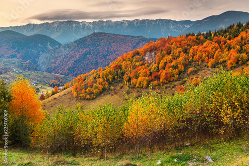 Beautiful autumn colorful landscape, Magura village, Brasov county, Transylvania, Romania