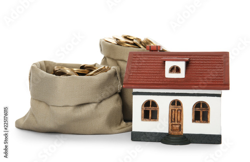 House model with money on white background