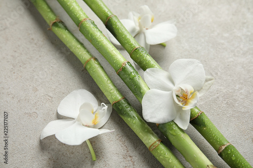 Bamboo branches with flowers on gray background