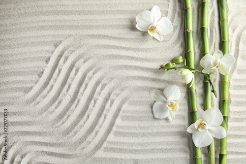 Bamboo branches with flowers on sand, top view. Space for text #225177033