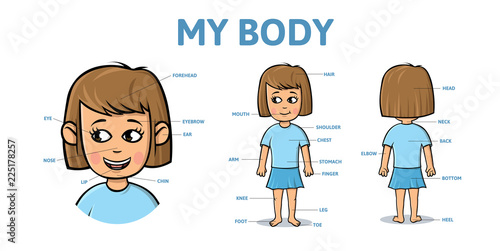 Vocabulary for parts of female body. Cartoon girl body with description. Colorful flat vector illustration, horizontal.