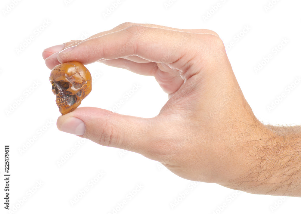 Small skull human in hand on white background isolation Small skull human in hand on white background isolation