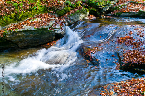 Autumn landscape. Mountain stream with fallen leaves. 