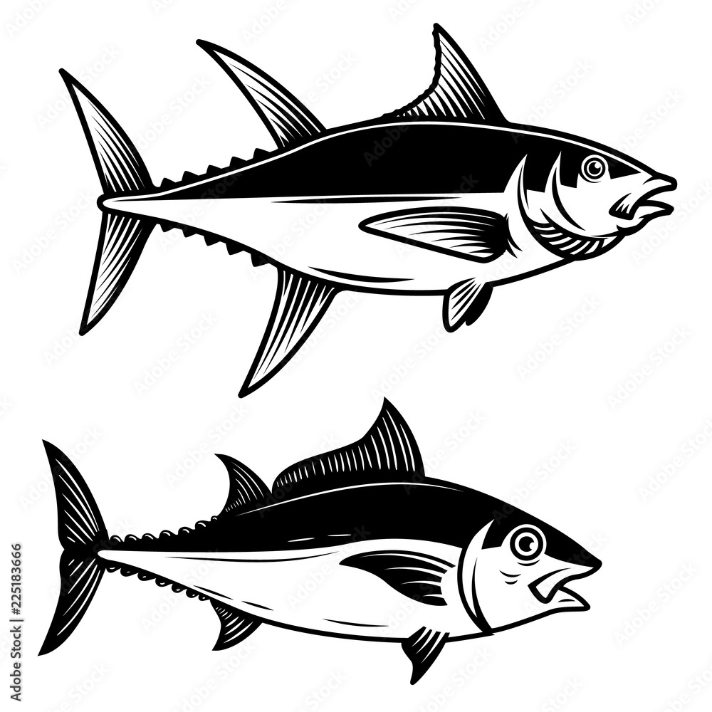 Fototapeta premium Set of Tuna fish illustration on white background. Design element for logo, label, emblem, sign, badge.