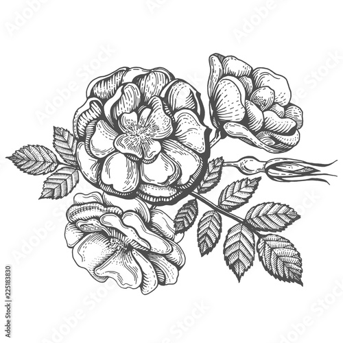 wild rose bouquet