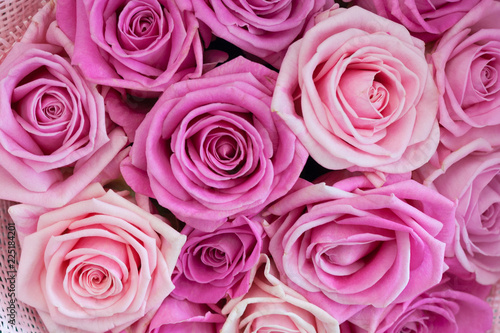 Bouquet of roses as background  texture