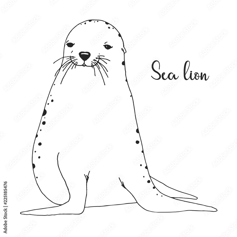 740+ Sea Lion Sketch Illustrations, Royalty-Free Vector Graphics & Clip Art  - iStock