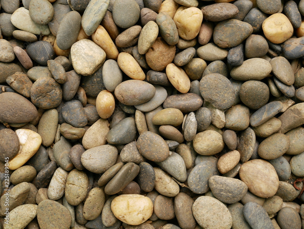 background of stones,pebble texture in garden background of stones,pebble texture in garden