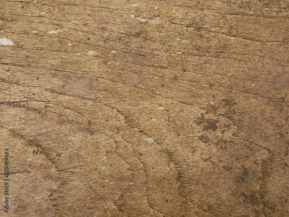 100 year old wood 100 year old wood