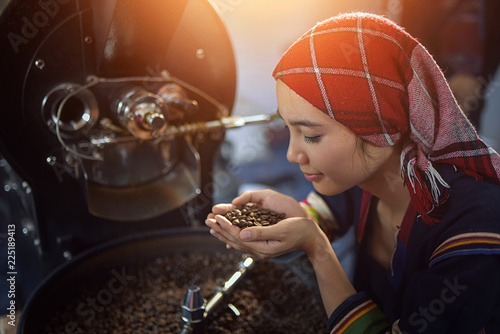 woman unidentified coffee farmer is harvesting coffee berries in the coffee farm, Woman wearing traditional thai lanna people ,vintage style,Thailand photo