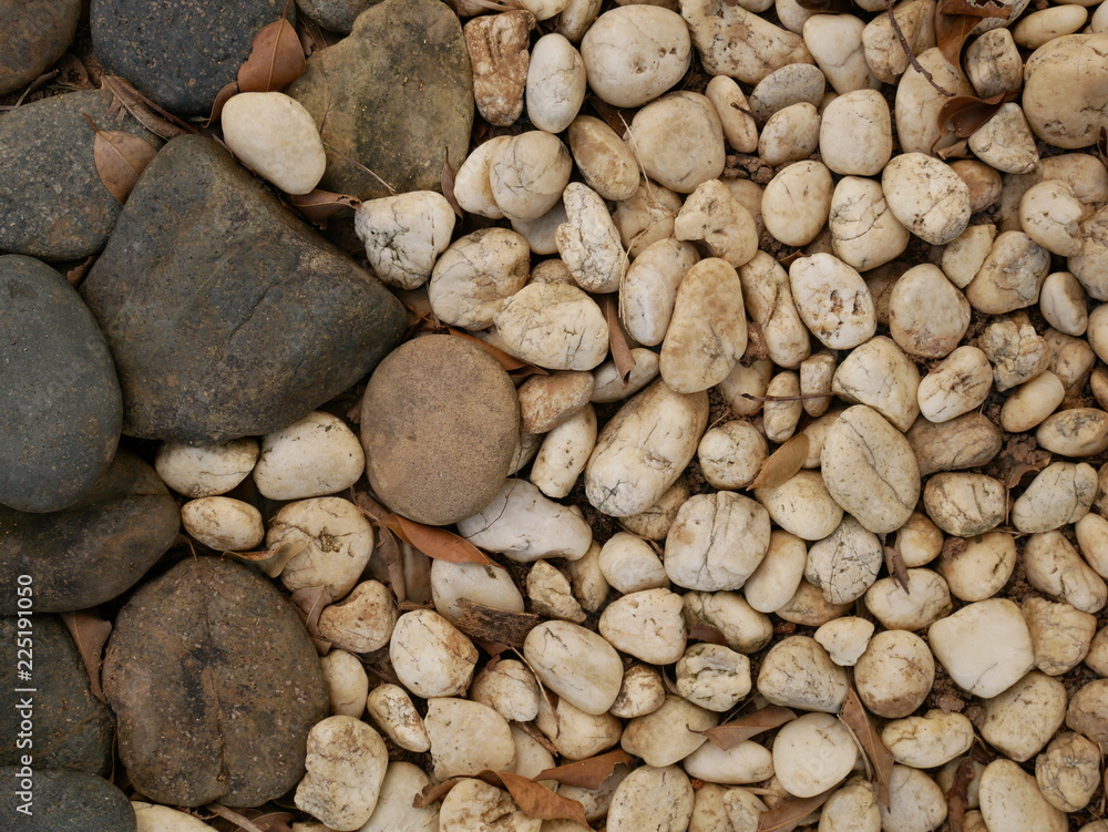 stone in garden nature background stone in garden nature background