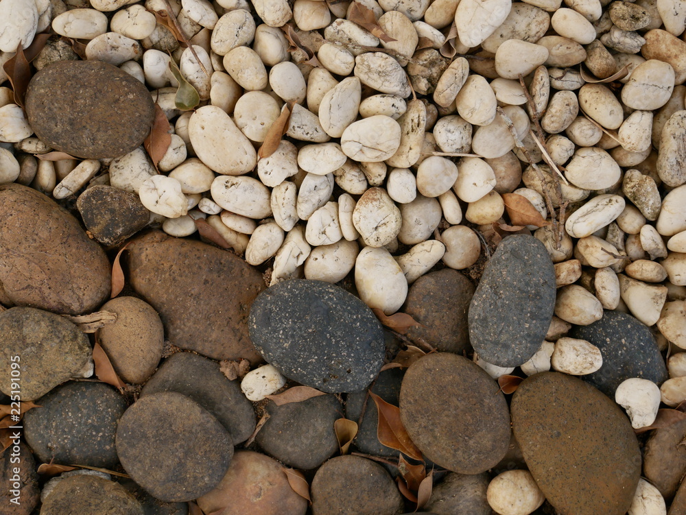 stone in garden nature background stone in garden nature background