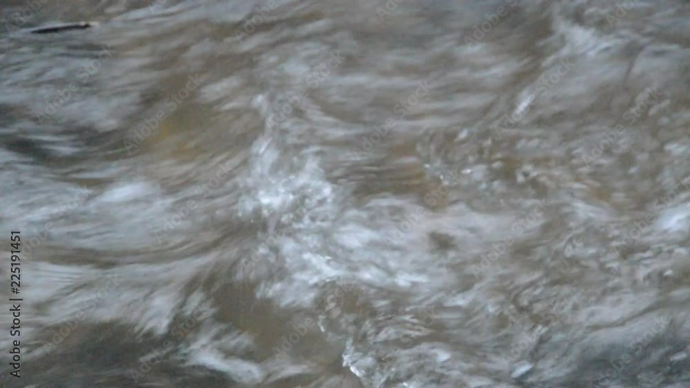 close up of water run through river in forest close up of water run through river in forest