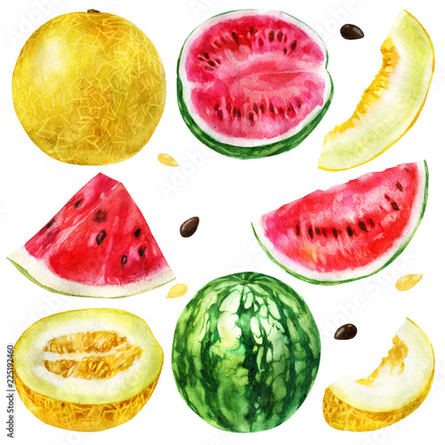 Fototapeta Naklejka Na Ścianę i Meble -  Watercolor illustration, set. Watermelon, half a watermelon, a piece of watermelon, a slice of watermelon, melon, half melon, a piece of melon, a slice of melon.