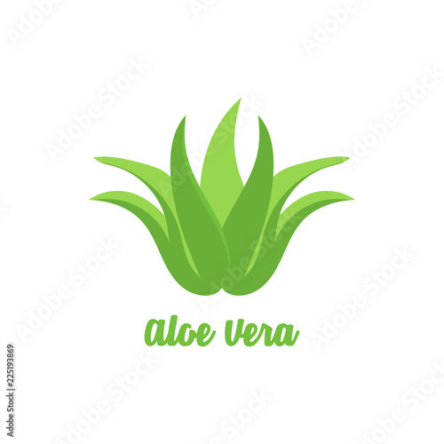 Aloe vera leaf icon in a flat design