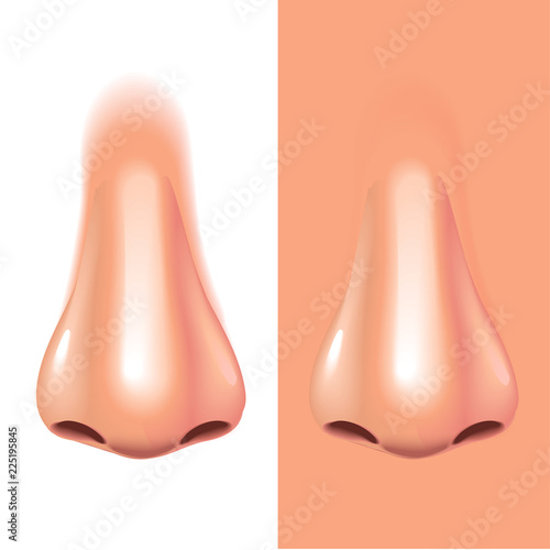Nose isolated on white photo-realistic vector illustration