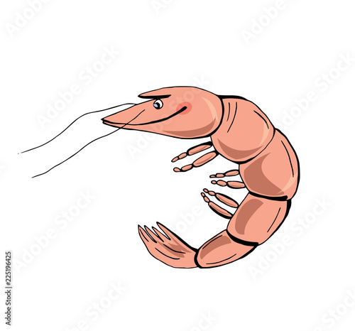 Funny cartoon shrimp. Vector illustration. Shellfish illustration.