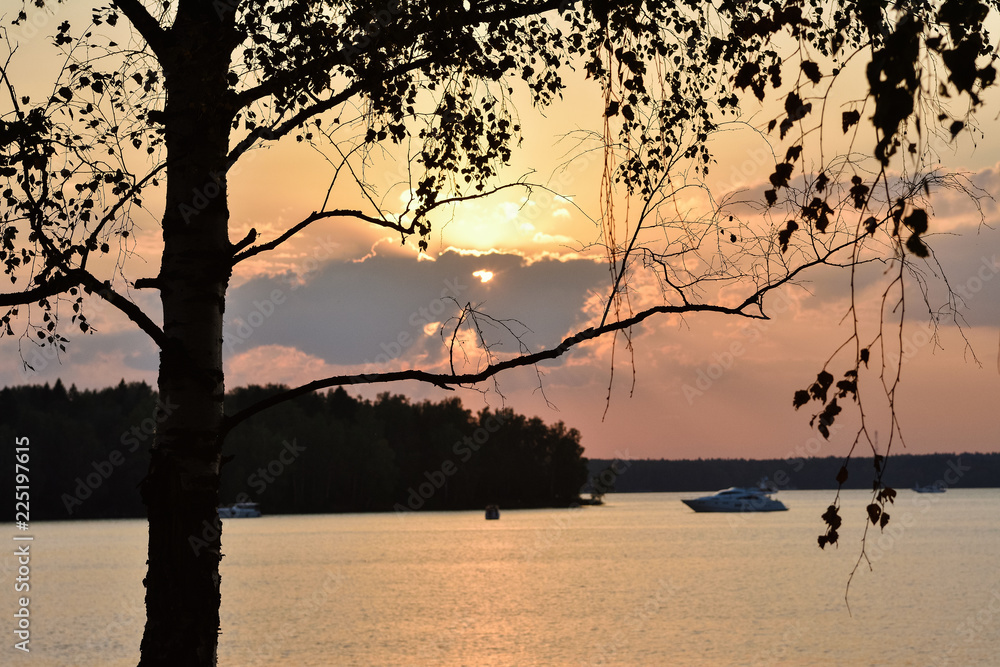 Sunset on the Pestovo reservoir, sunset on the lake, silhouette of a birch on a sunset backgroun Sunset on the Pestovo reservoir, sunset on the lake, silhouette of a birch on a sunset backgroun