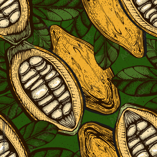 cocoa chocolate beans fruits