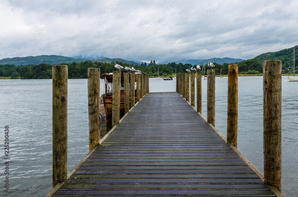 Seagulls perched on wooden posts by the pier. Photo taken at Ambleside Pier by Lake Windermere in the Lake District, Cumbria, England