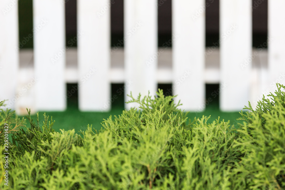 White fence and green grass on blue sky. White fence and green grass on blue sky.