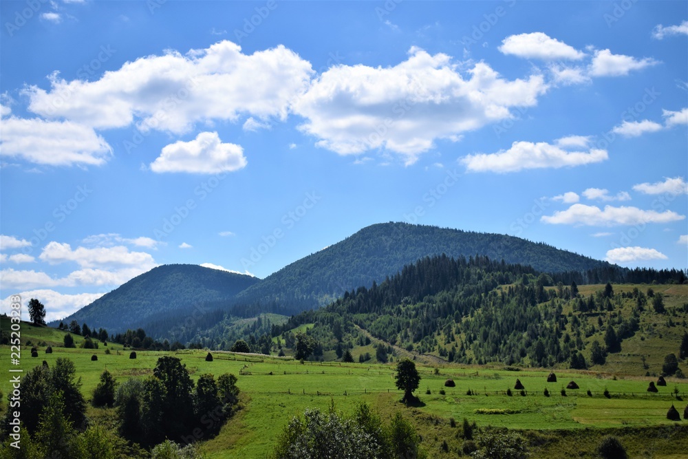 Landscape in the mountains,nature,green,sky,green,blue,landscape,summer,tree