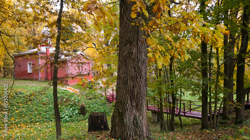 Autumn season in the city