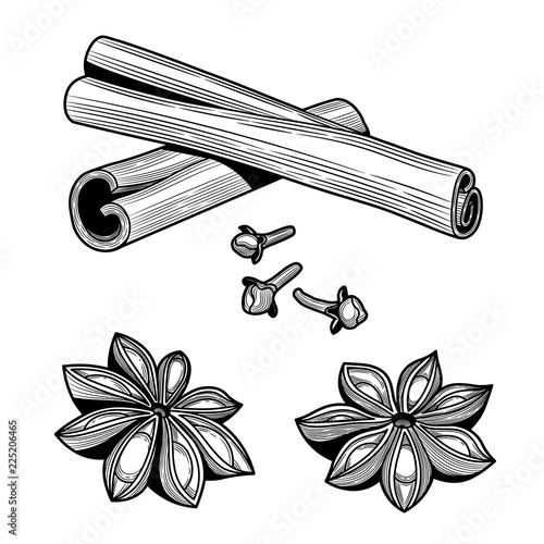 Ingredients. Cinnamon sticks, anise, cloves. Isolated on white background. Vector black vintage engraving illustration.