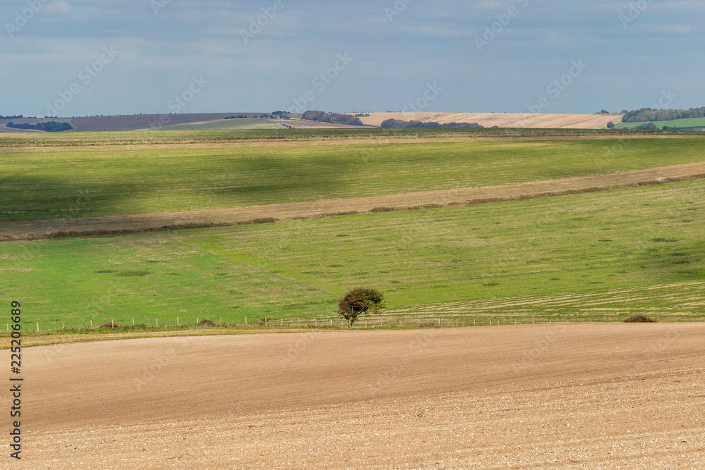 A South Downs landscape on a sunny autumn day