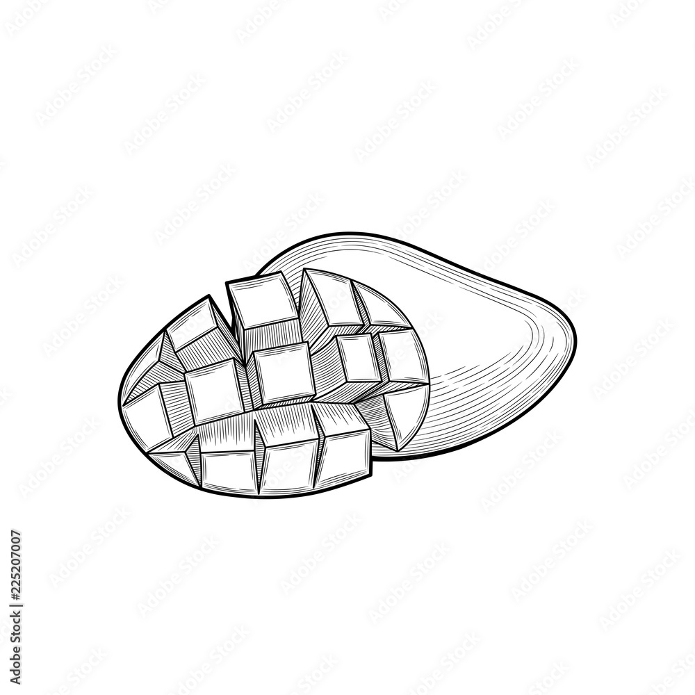 Mango. Half a mango. Fruit crop. Exotic fruit. Illustration. Isolated on white background. Mango. Half a mango. Fruit crop. Exotic fruit. Illustration. Isolated on white background.