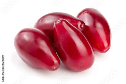 Red berries of cornel or dogwood isolated on white background