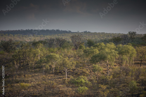 Outback in the Kimberley, Western Australia takenin the late afternoon with trees, rock and hills.