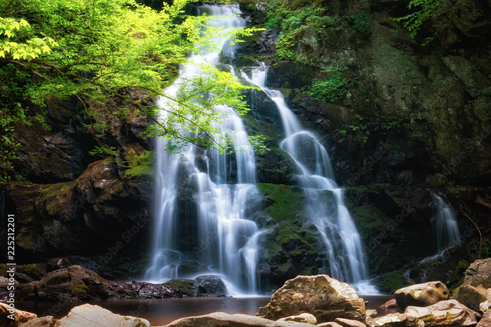 Naklejka premium Spruce Flats Falls w Parku Narodowym Smoky Mountain