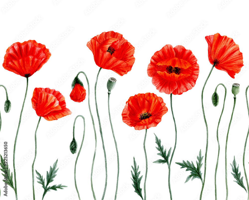 Seamless Border Watercolor Poppies